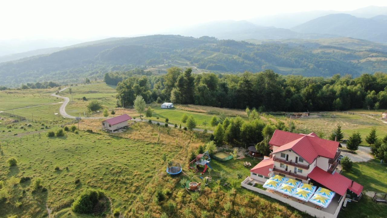Pensiune Runcu Stone Runcu (Dambovita) Exterior foto