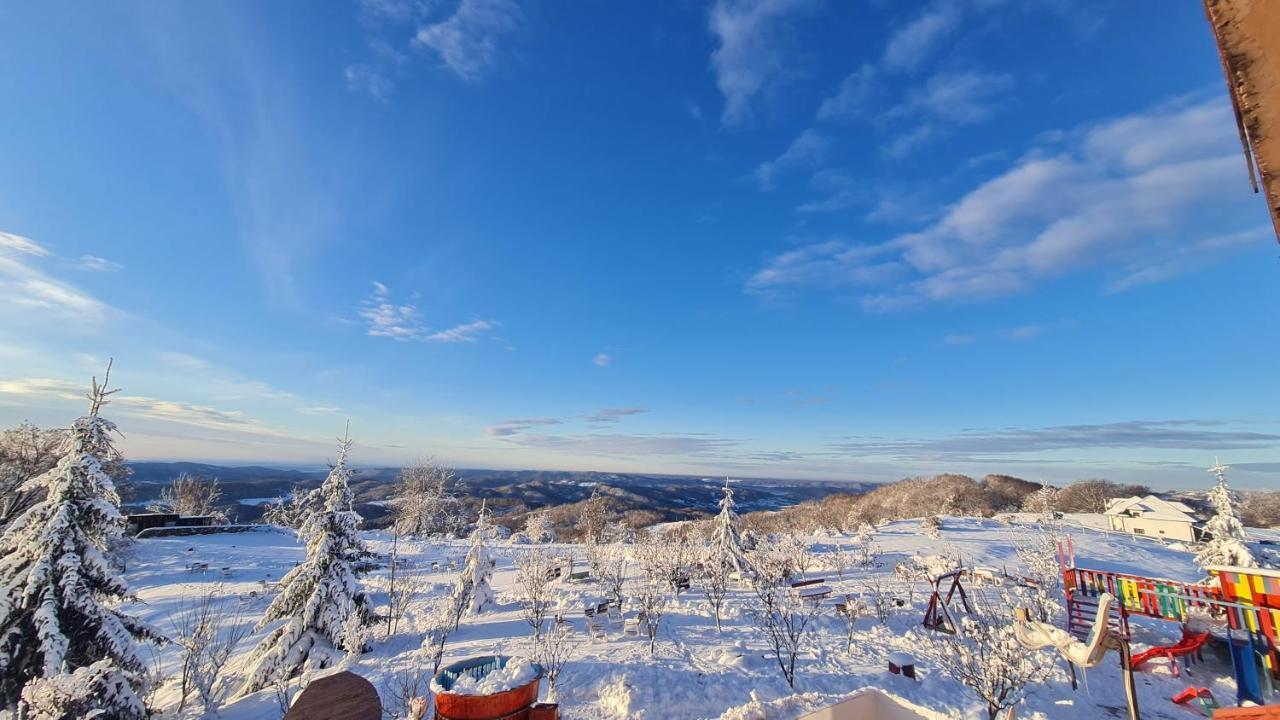Pensiune Runcu Stone Runcu (Dambovita) Exterior foto