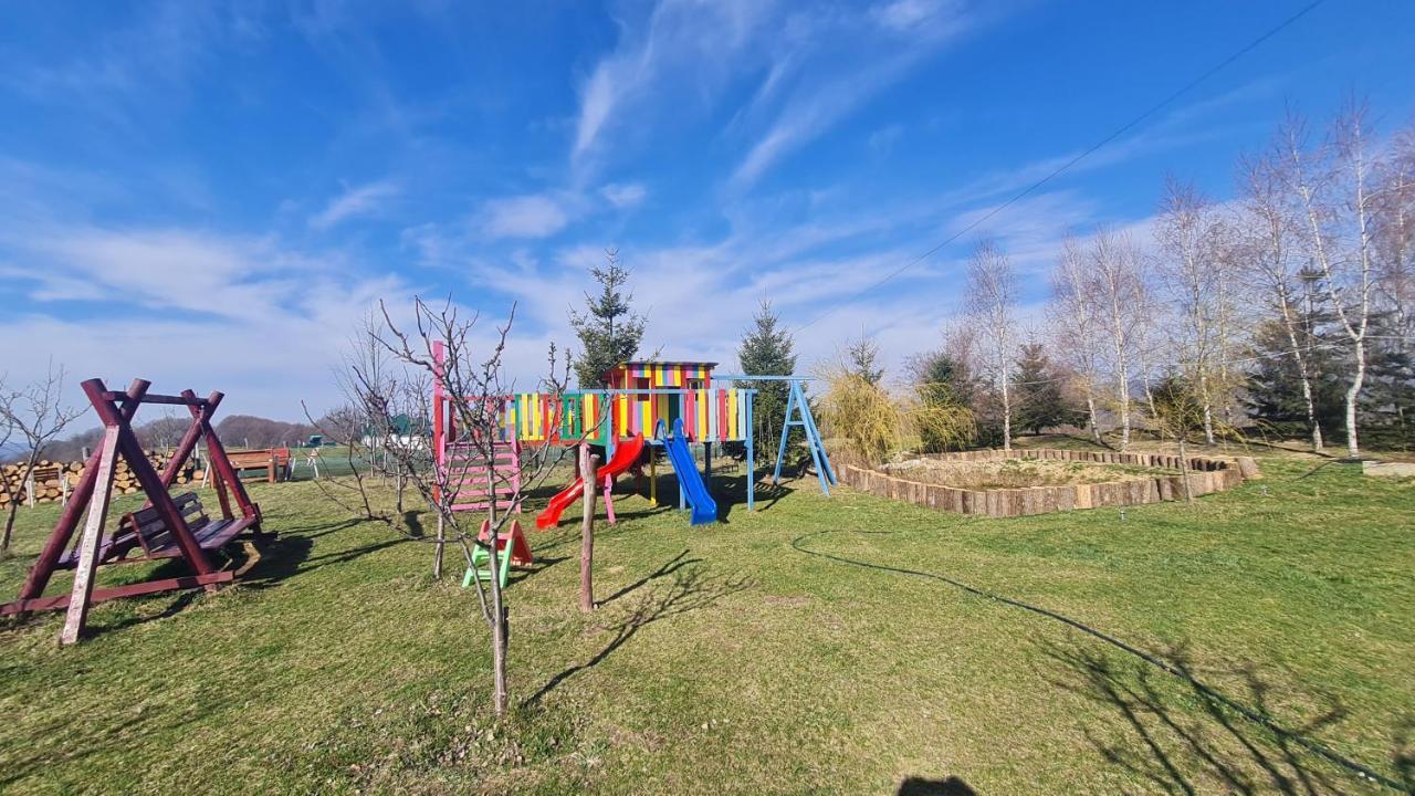 Pensiune Runcu Stone Runcu (Dambovita) Exterior foto