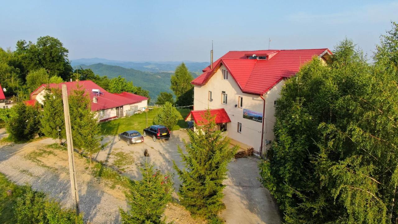 Pensiune Runcu Stone Runcu (Dambovita) Exterior foto