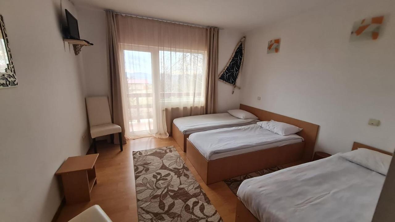 Pensiune Runcu Stone Runcu (Dambovita) Exterior foto