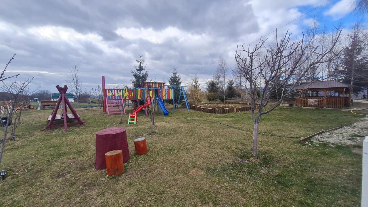 Pensiune Runcu Stone Runcu (Dambovita) Exterior foto