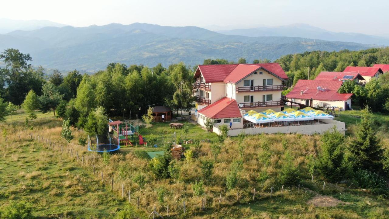 Pensiune Runcu Stone Runcu (Dambovita) Exterior foto